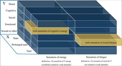 The Link Between Energy-Related Sensations and Metabolism: Implications for Treating Fatigue